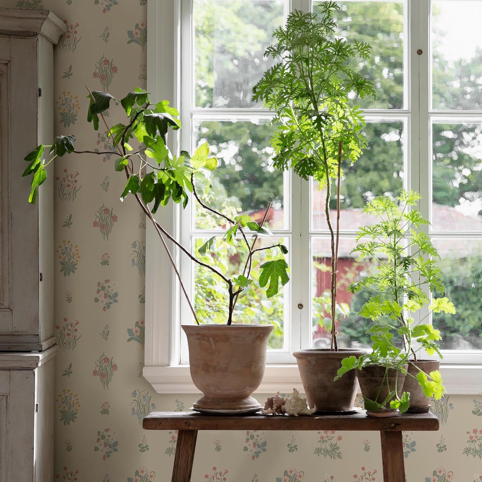 Kampanj_6951_ÄngsFlora_Roomshot_86.jpg