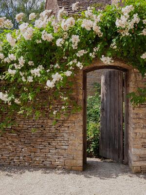 bt2524_camp_secret_garden_newslist.jpg