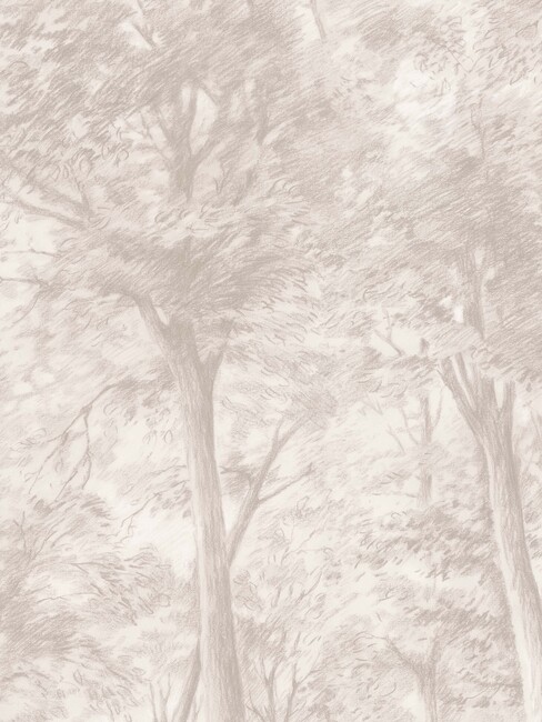 Sketch of Trees