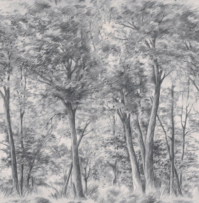 Sketch of Trees